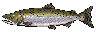Pixel-art Chinook salmon with a deep body and spotted tail